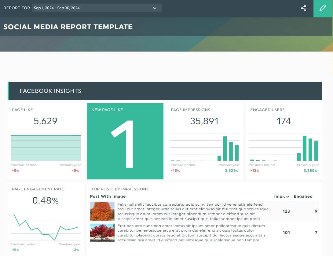 Social media report template